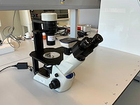 2022 olympus ckx53sf celcultuurmicroscoop - afbeelding 1 van  13