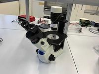 2022 olympus ckx53sf celcultuurmicroscoop - afbeelding 1 van  11