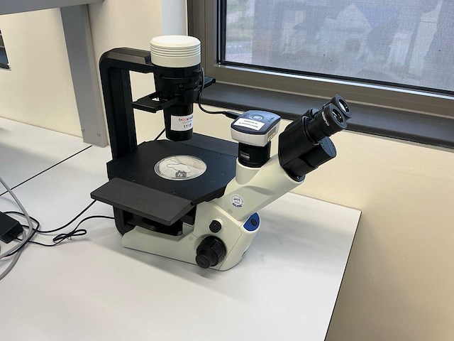 2022 olympus ckx53sf celcultuurmicroscoop - afbeelding 1 van  8