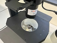 2022 olympus ckx53sf celcultuurmicroscoop - afbeelding 4 van  8