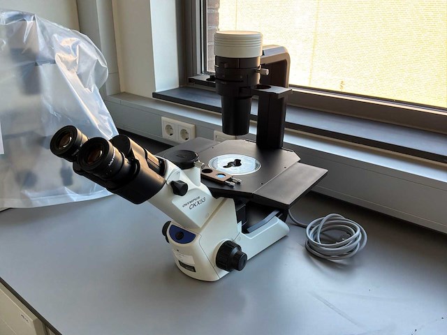 2022 olympus ckx53sf celcultuurmicroscoop - afbeelding 1 van  4