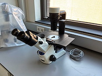 2022 olympus ckx53sf celcultuurmicroscoop - afbeelding 1 van  4