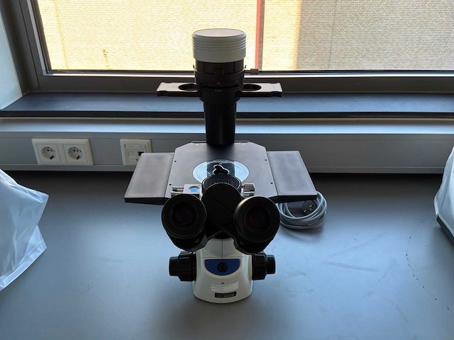2022 olympus ckx53sf celcultuurmicroscoop - afbeelding 2 van  4