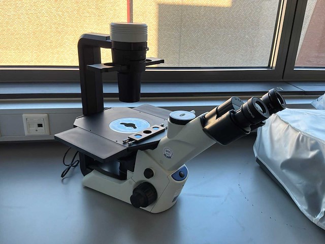 2022 olympus ckx53sf celcultuurmicroscoop - afbeelding 3 van  4