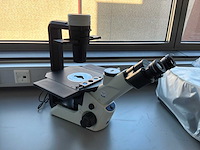 2022 olympus ckx53sf celcultuurmicroscoop - afbeelding 3 van  4