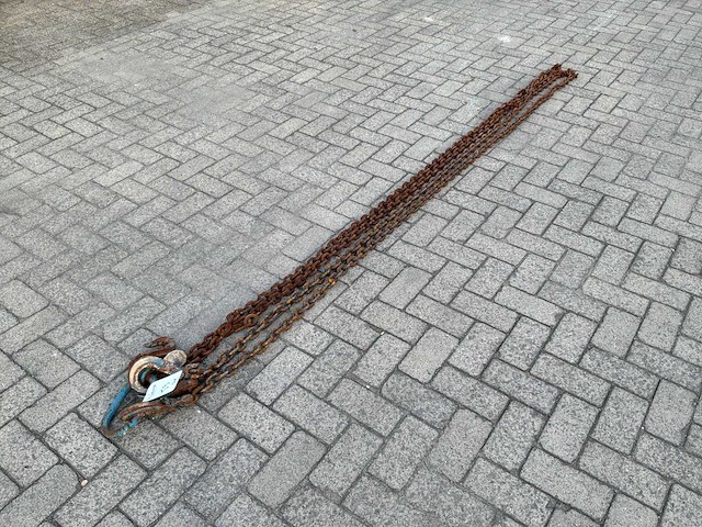 2022 van der blij tweesprong hijsketting 6000mm 5t (2x) - afbeelding 1 van  4