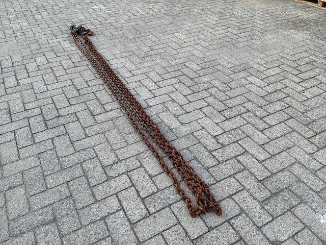 2022 van der blij tweesprong hijsketting 6000mm 5t (2x) - afbeelding 2 van  4