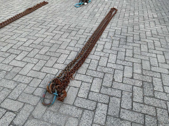 2022 van der blij tweesprong hijsketting 6000mm 5t (2x) - afbeelding 4 van  4