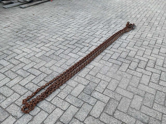 2022 van der blij tweesprong hijsketting 6000mm 5t (2x) - afbeelding 3 van  4