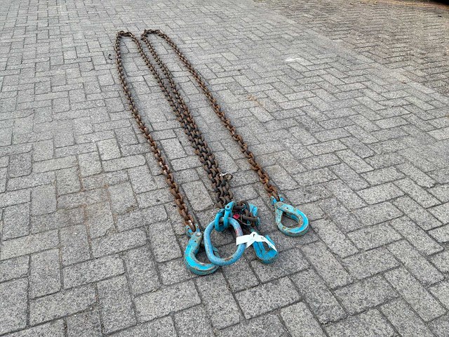 2022 van der blij tweesprong hijsketting 6000mm 9.38t (2x) - afbeelding 5 van  5