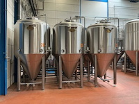 2023 ant systems fermentatie tank (6x) - afbeelding 4 van  9