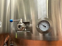 2023 ant systems fermentatie tank (c) (10x) - afbeelding 6 van  10