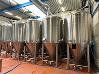 2023 ant systems fermentatie tank (c) (5x) - afbeelding 3 van  10