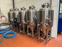 2023 ant systems gisttank / fermentatie tank (5x) - afbeelding 1 van  6