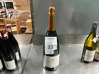 2023 bründlmayer brut champagne