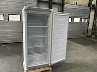 2023 cool head chiller cabinet koelkast - afbeelding 2 van  9