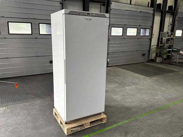 2023 cool head chiller cabinet koelkast - afbeelding 4 van  9