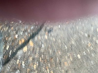 2023 volvo fh vrachtwagen met huifopbouw(c) - afbeelding 14 van  49