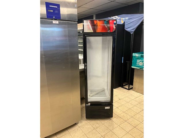 2023 zorro zk 280 glasdeur koelkast - afbeelding 2 van  9