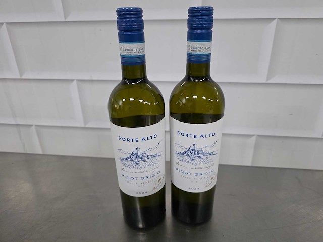 2024 - forte alto pinot grigio 2024 witte wijn fles (11x) - afbeelding 1 van  3