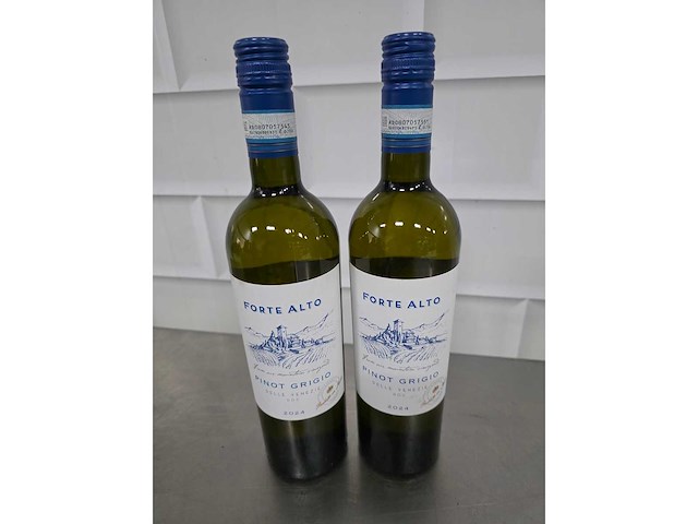 2024 - forte alto pinot grigio 2024 witte wijn fles (11x) - afbeelding 2 van  3