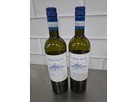 2024 - forte alto pinot grigio 2024 witte wijn fles (11x) - afbeelding 2 van  3