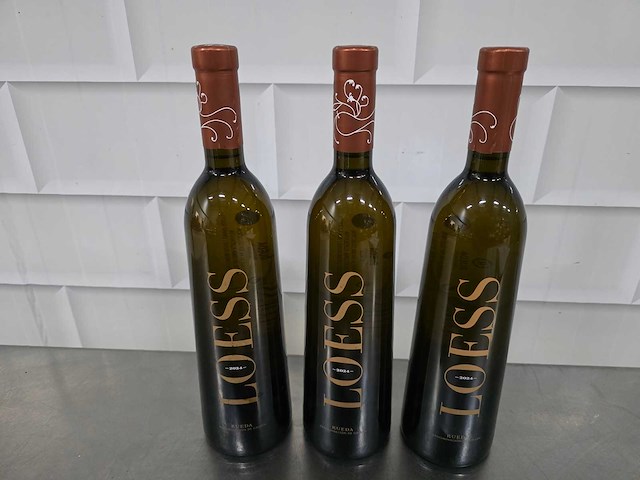 2024 - loes rueda witte wijn fles (9x) - afbeelding 1 van  3