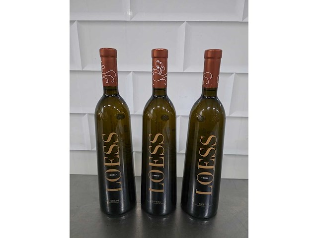 2024 - loes rueda witte wijn fles (9x) - afbeelding 2 van  3