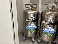 2024 auguste cryogenics ac240pb cryoopslag- en transportvaartuig - afbeelding 1 van  6
