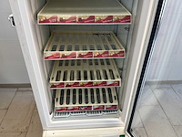 2024 framec displayvriezer - afbeelding 5 van  6