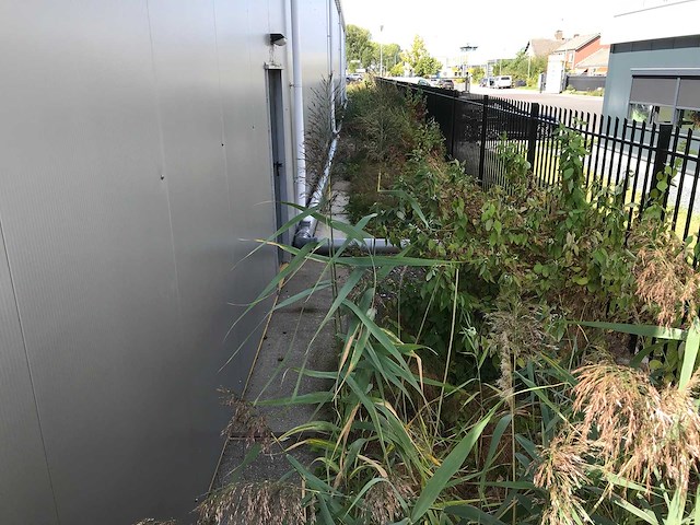 2024 hallen staalconstructie - compleet - afbeelding 16 van  35