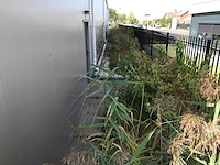 2024 hallen staalconstructie - compleet - afbeelding 16 van  35