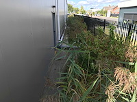 2024 hallen staalconstructie - compleet - afbeelding 17 van  35