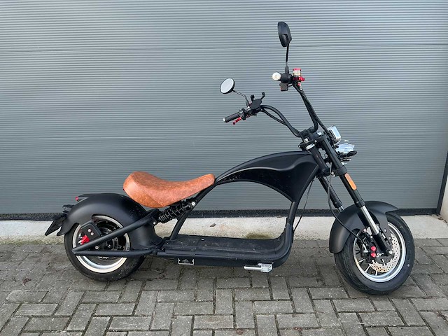 2024 mangosteen m1 l1e-b elektrische snorscooter - afbeelding 19 van  23