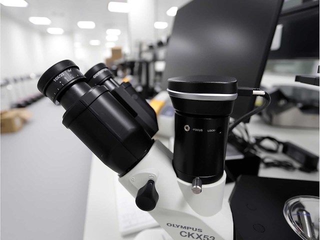 2024 olympus ckx53sf celcultuurmicroscoop - afbeelding 3 van  7