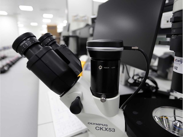 2024 olympus ckx53sf celcultuurmicroscoop - afbeelding 5 van  9