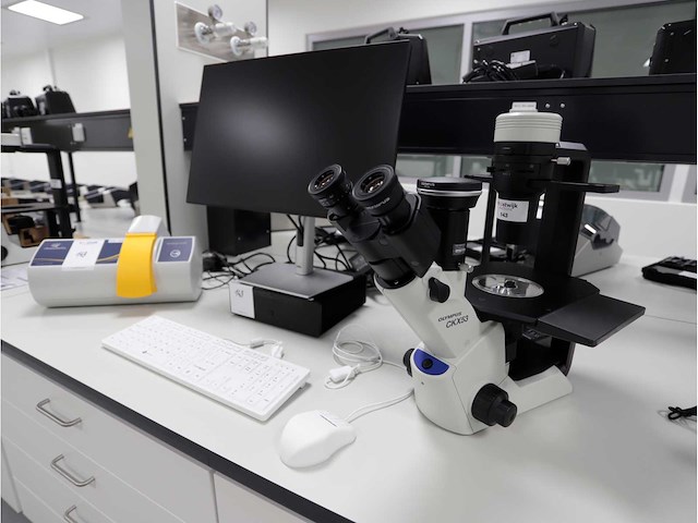 2024 olympus ckx53sf celcultuurmicroscoop - afbeelding 1 van  8
