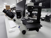 2024 olympus ckx53sf celcultuurmicroscoop - afbeelding 3 van  8