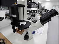 2024 olympus ckx53sf celcultuurmicroscoop - afbeelding 3 van  8