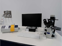 2024 olympus ckx53sf celcultuurmicroscoop