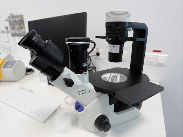 2024 olympus ckx53sf celcultuurmicroscoop - afbeelding 2 van  9