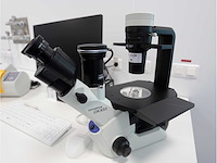 2024 olympus ckx53sf celcultuurmicroscoop - afbeelding 2 van  9