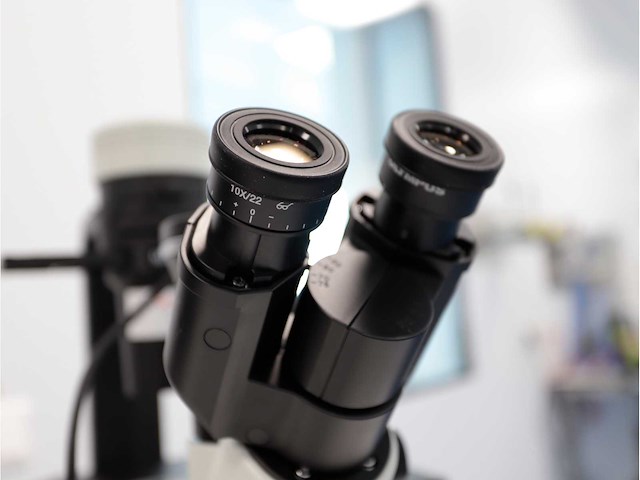 2024 olympus ckx53sf celcultuurmicroscoop - afbeelding 5 van  9