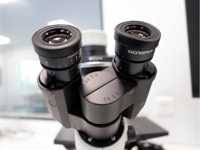 2024 olympus ckx53sf celcultuurmicroscoop - afbeelding 5 van  9