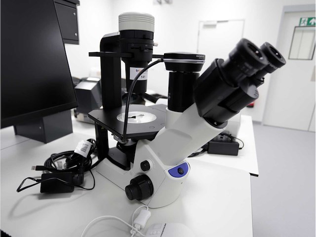 2024 olympus ckx53sf celcultuurmicroscoop - afbeelding 4 van  9