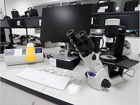 2024 olympus ckx53sf celcultuurmicroscoop - afbeelding 1 van  7