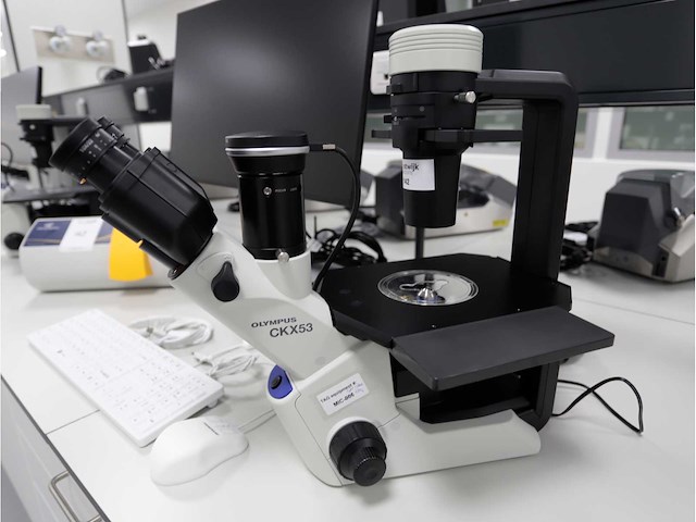 2024 olympus ckx53sf celcultuurmicroscoop - afbeelding 3 van  7