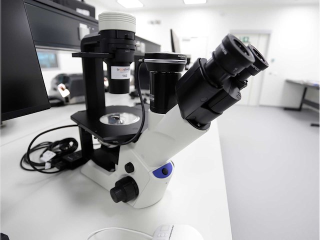 2024 olympus ckx53sf celcultuurmicroscoop - afbeelding 4 van  7