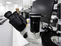 2024 olympus ckx53sf celcultuurmicroscoop - afbeelding 5 van  7