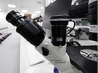 2024 olympus ckx53sf celcultuurmicroscoop - afbeelding 3 van  7